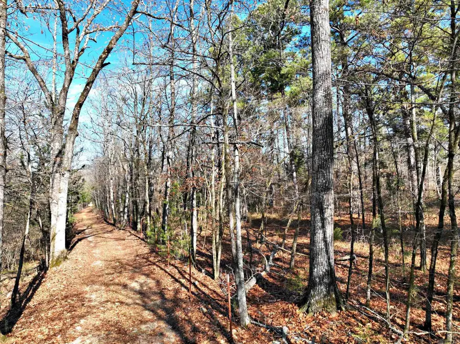 Tract 3 Highway 8 E, Mena, AR 71953 - Image #3