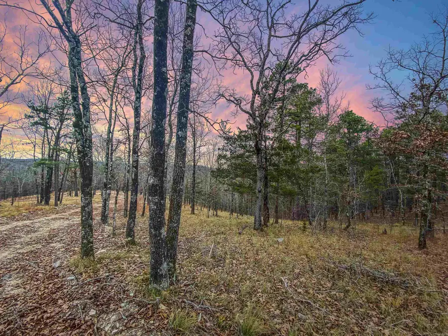 000 Shorthorn Lane, Hot Springs, AR 71901 - Image #2