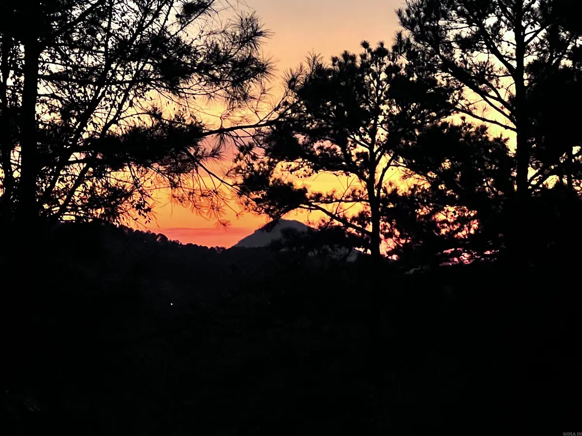 34 Basswood Terrace, Maumelle, AR 72113 - Image #1