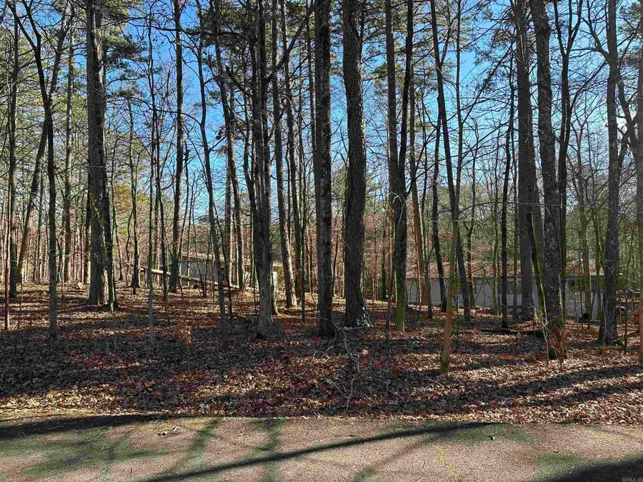 Palacio Circle, Hot Springs Village, AR 71909 - Image #2