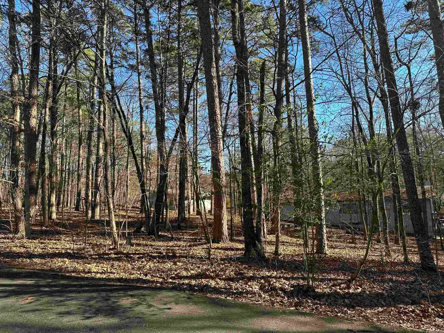 Palacio Circle, Hot Springs Village, AR 71909 - Image #3