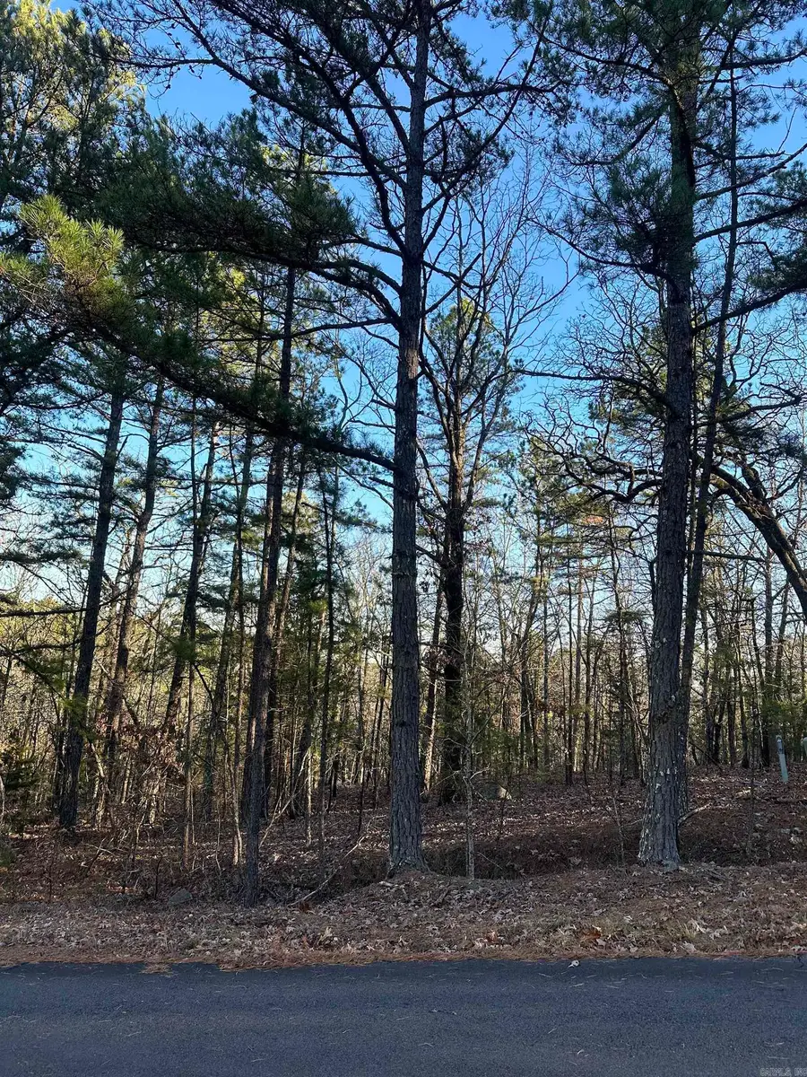 Castano Drive, Hot Springs Village, AR 71909 - Image #2