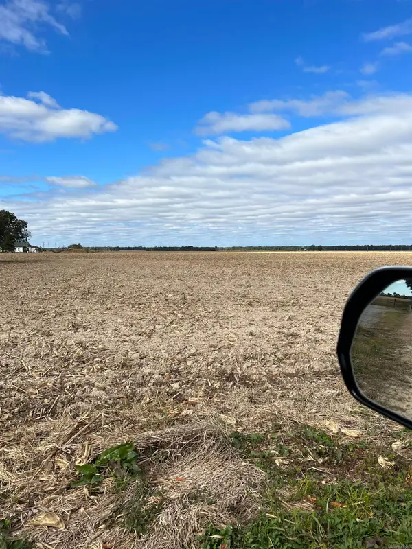 849 Cr 206, Peach Orchard, AR 72453