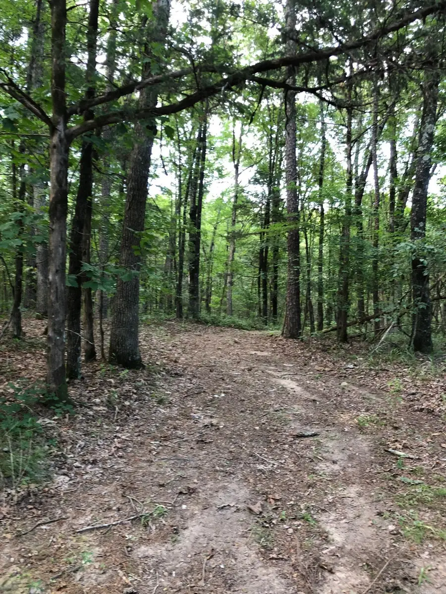 00 Countryside Drive, Quitman, AR 72131 - Image #3