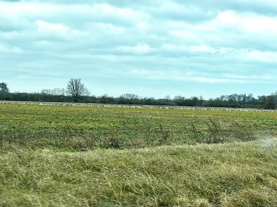 Address Withheld By Seller, Stuttgart, AR 72160 - Image #2