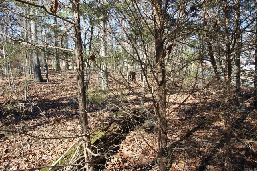 760-25375-000 Versailles Drive, Bull Shoals, AR 72619 - Image #2