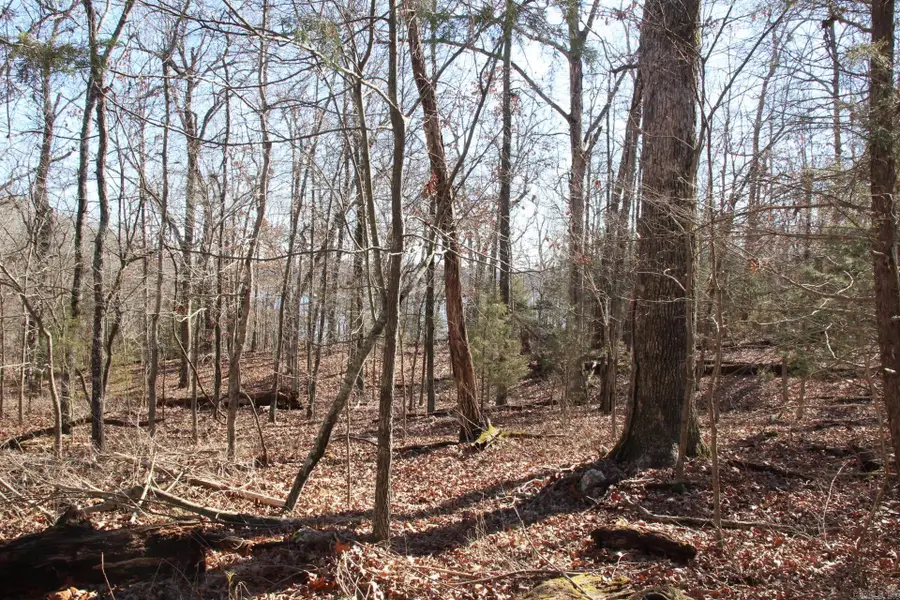 760-25375-000 Versailles Drive, Bull Shoals, AR 72619 - Image #3