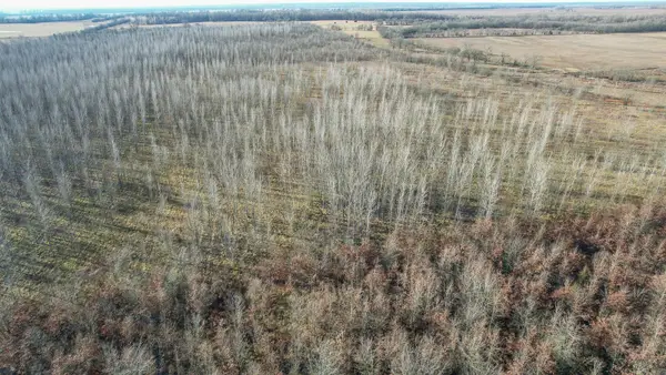 Address Withheld By Seller, Ashdown, AR 71822