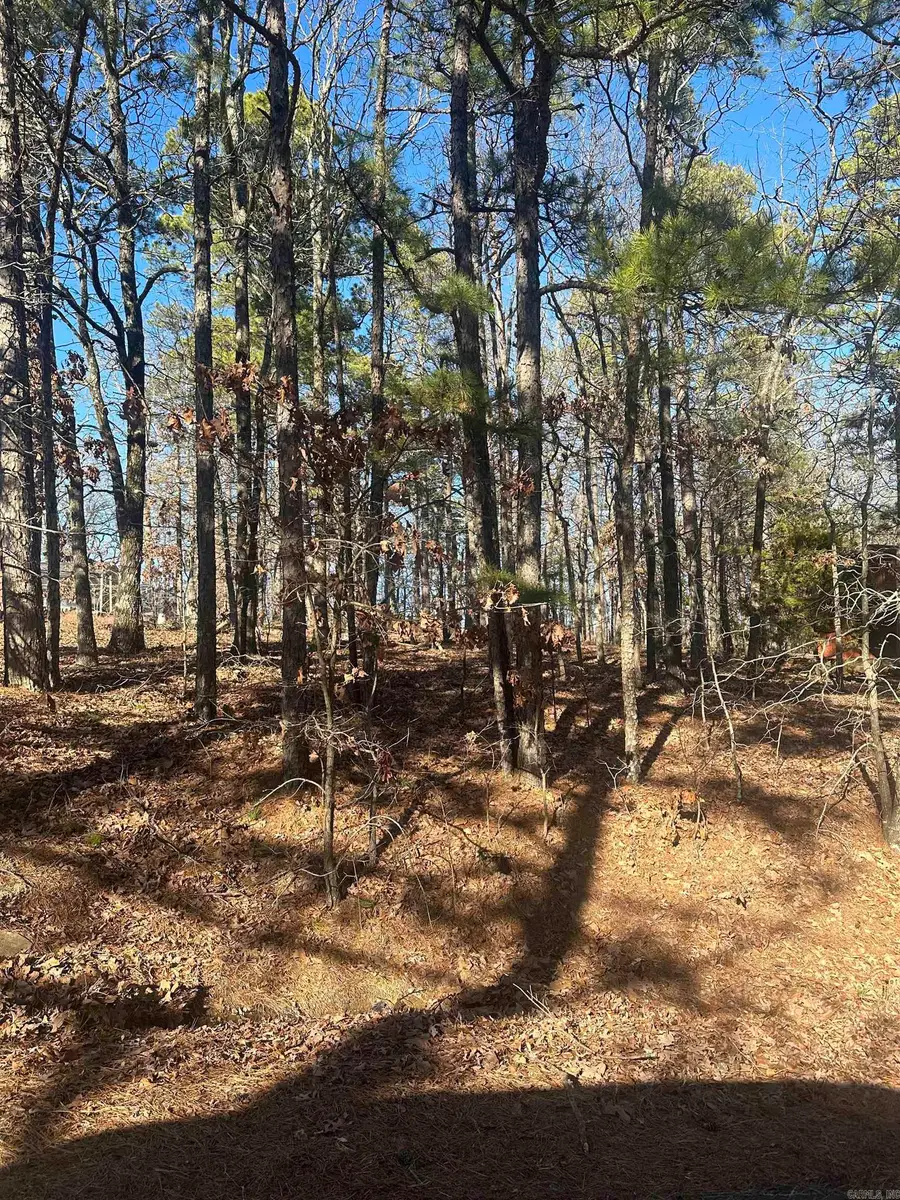 Almazan Way, Hot Springs Village, AR 71909 - Image #3