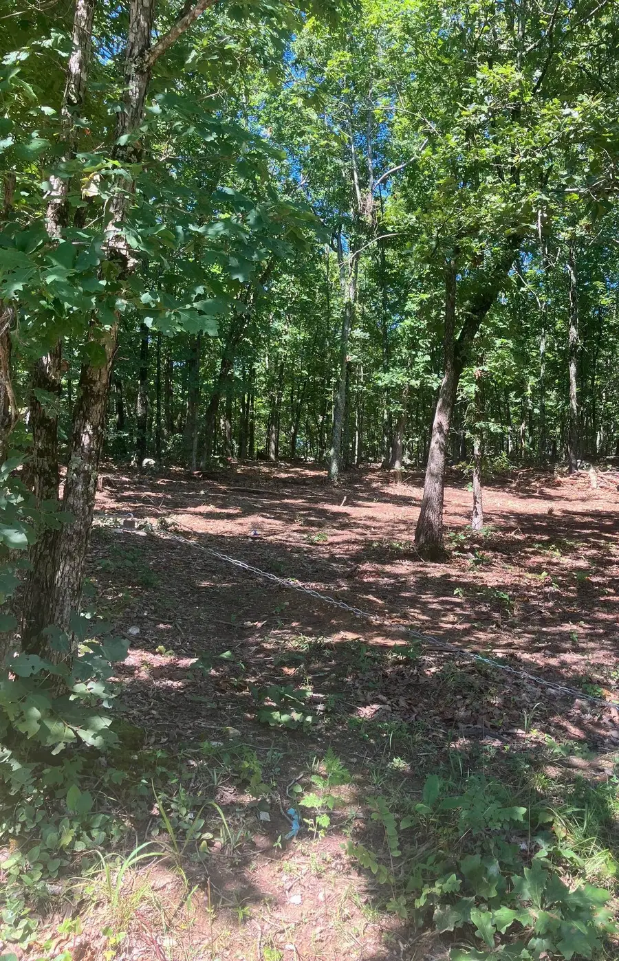 605 Lone Oak Road, Williford, AR 72482 - Image #3