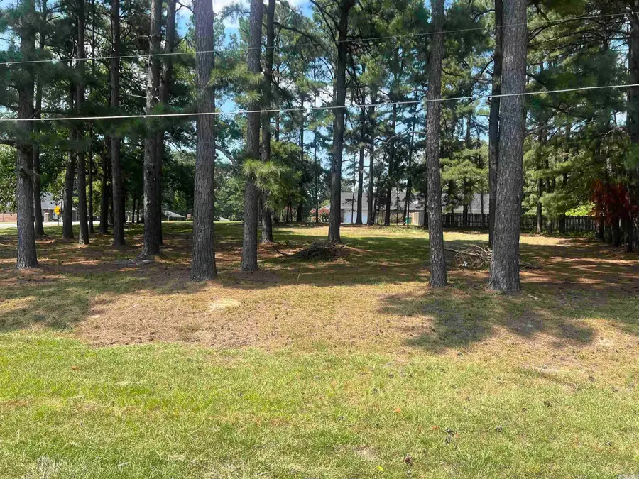 0 Michael Ann, White Hall, AR 71602 - Image #3