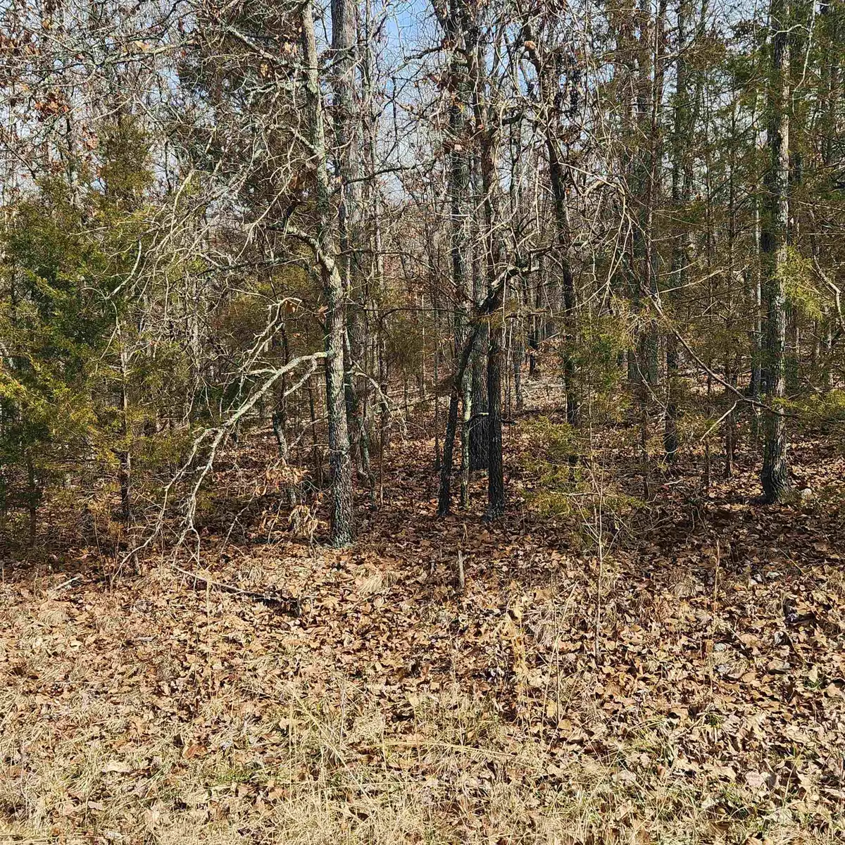 L10 B02 Awi Trail, Cherokee Village, AR 72529 - Image #1
