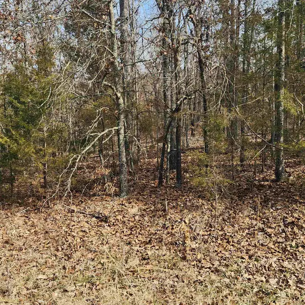 L10 B02 Awi Trail, Cherokee Village, AR 72529