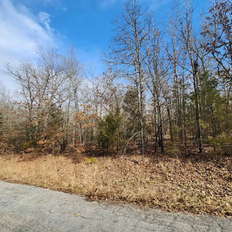 L10 B02 Awi Trail, Cherokee Village, AR 72529 - Image #3