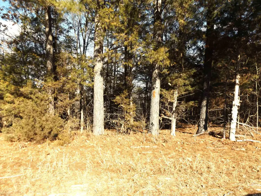 Lot 2 Iroquois Drive, Cherokee Village, AR 72529 - #3