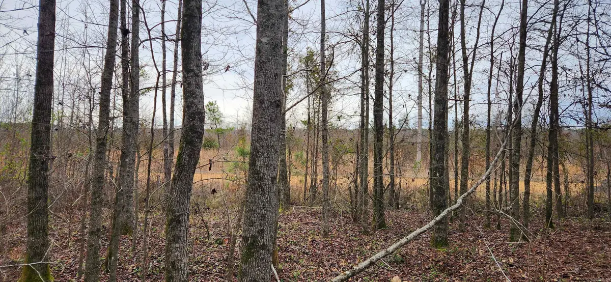 901 Green Hills Road, Star City, AR 71667 - Image #1