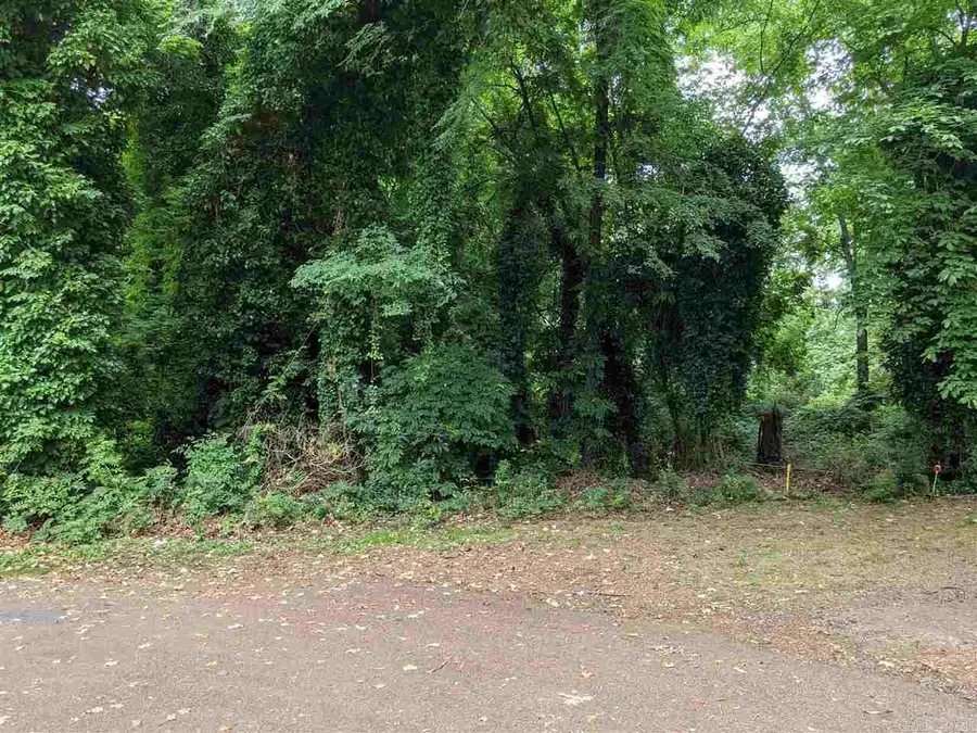 Lot 1 Lakeland Addition, Heber Springs, AR 72543 - Image #3