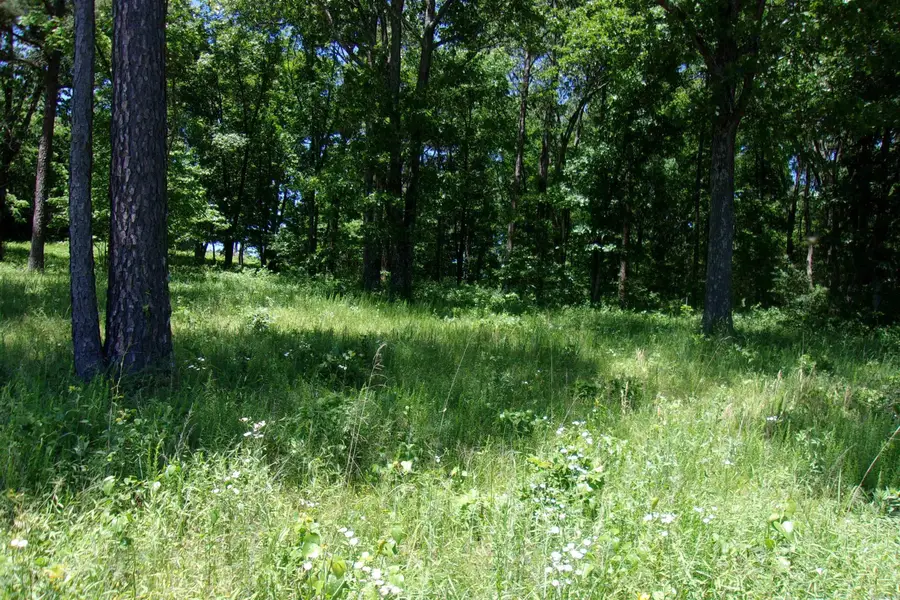 Lot 9 White Bluffs Court, Mountain Home, AR 72653 - Image #2