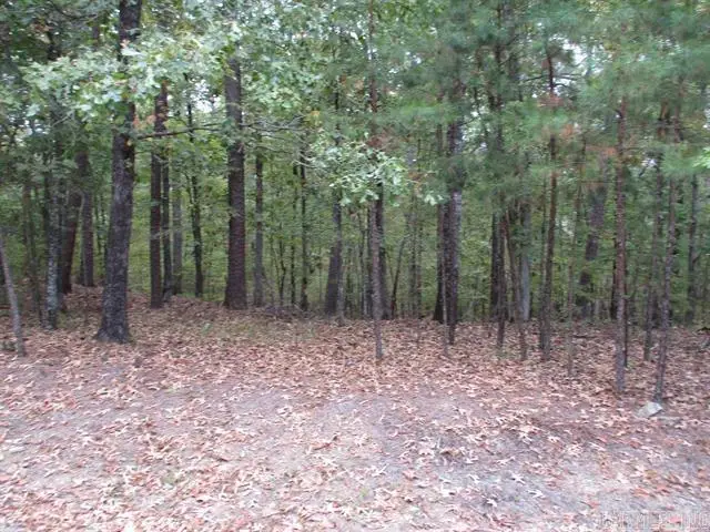 2 Princesa Trace, Hot Springs Village, AR 71909 - #1