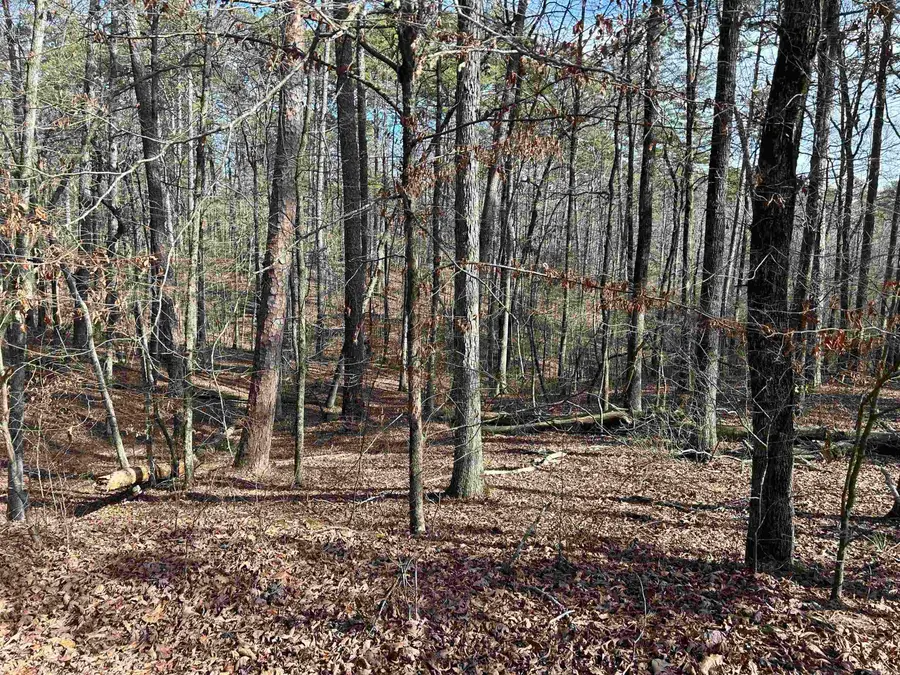 00 Cartaya Lane, Hot Springs Village, AR 71909 - Image #2