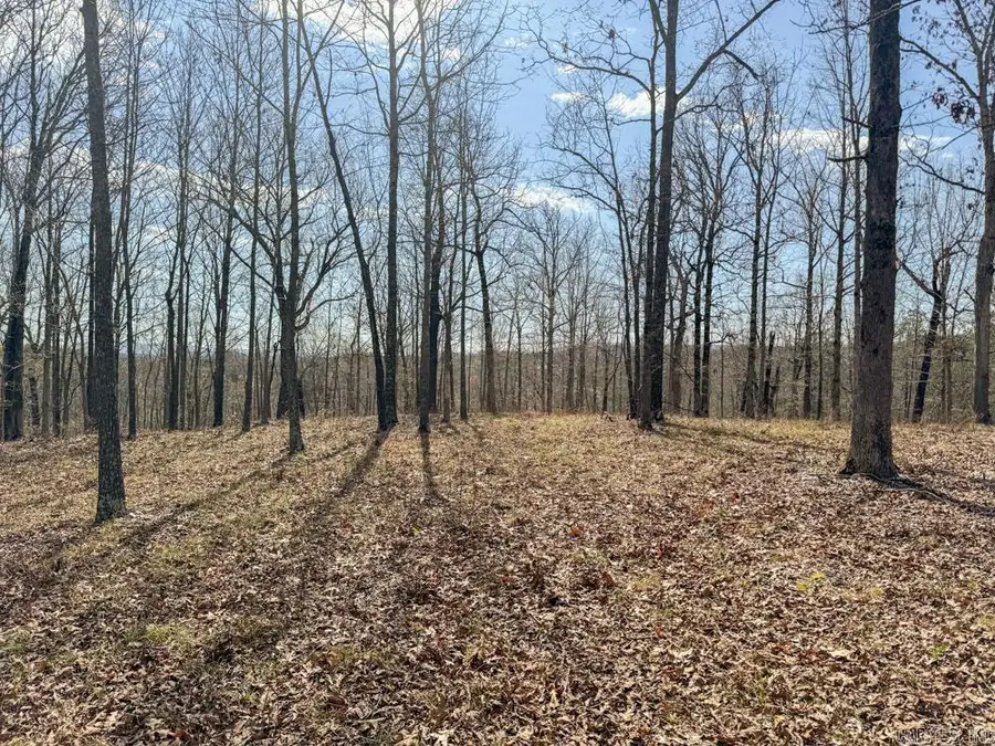 Address Withheld By Seller, Mountain View, AR 72560 - Image #3