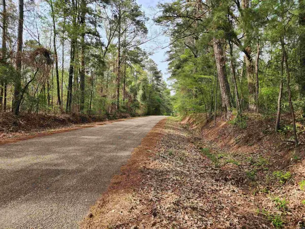 15.56 Acres Ouachita 63, Louann, AR 71751