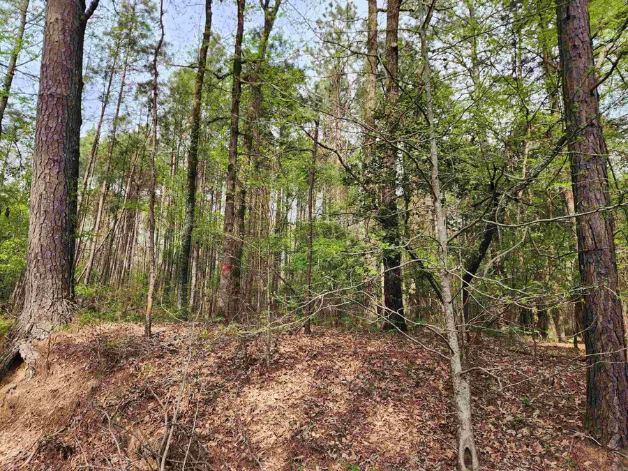 15.56 Acres Ouachita 63, Louann, AR 71751 - #2