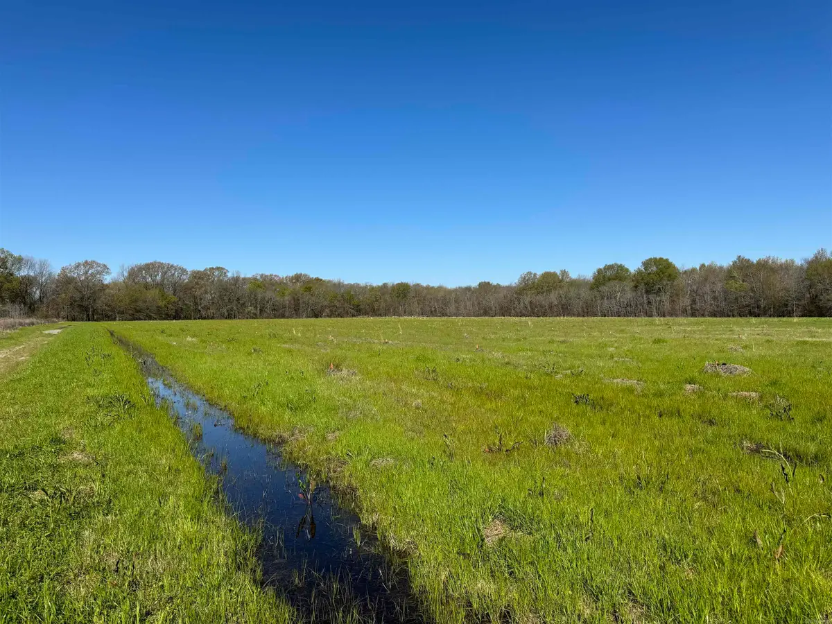Vacant land Cater Lane, McGehee, AR 71654 - #1