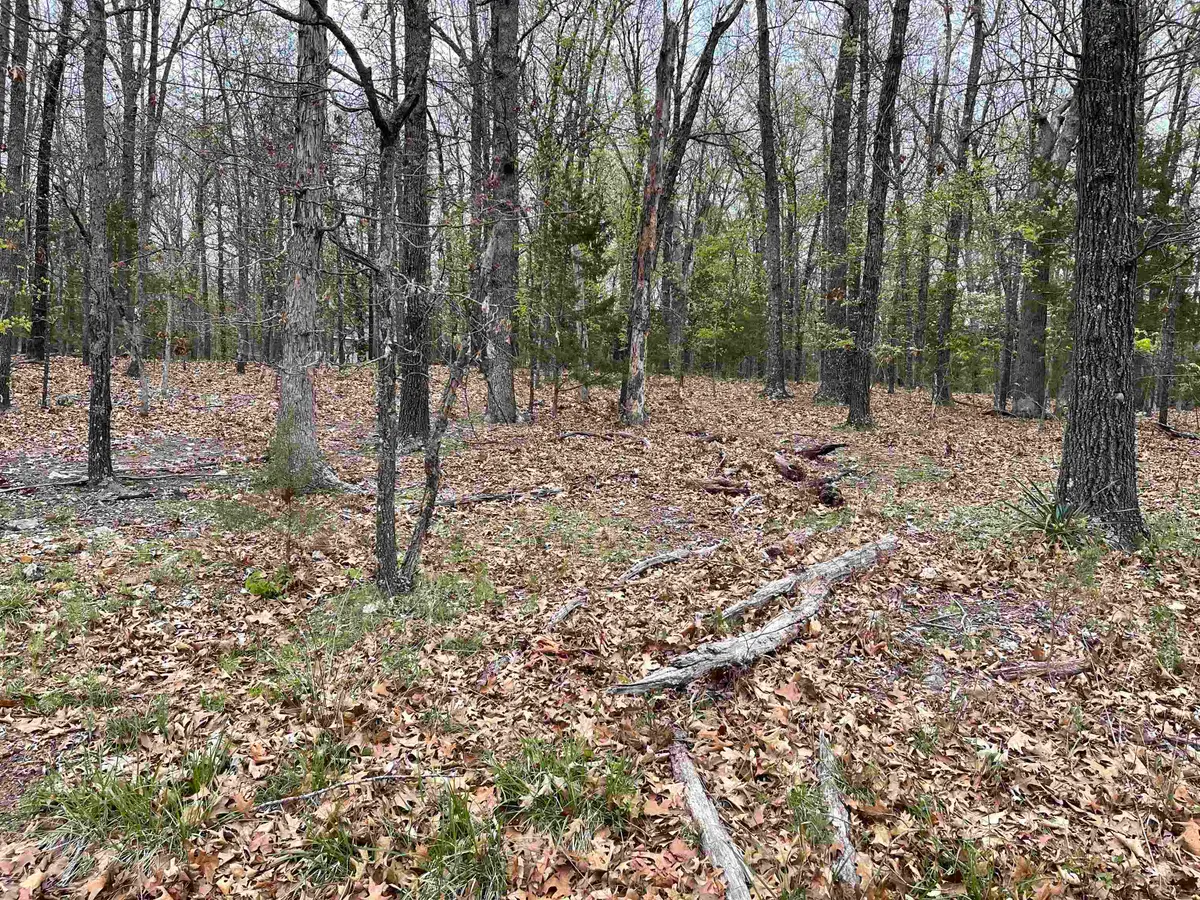 1323 Hummingbird Lane, Horseshoe Bend, AR 72512 - Image #1