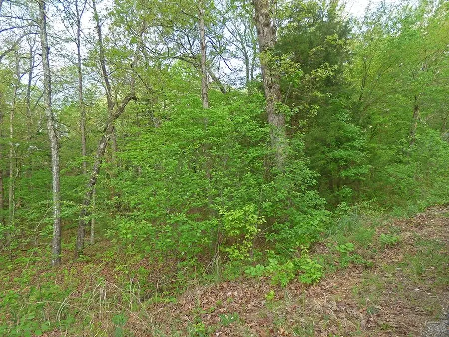 Address Withheld By Seller, Cherokee Village, AR 72529 - Image #3