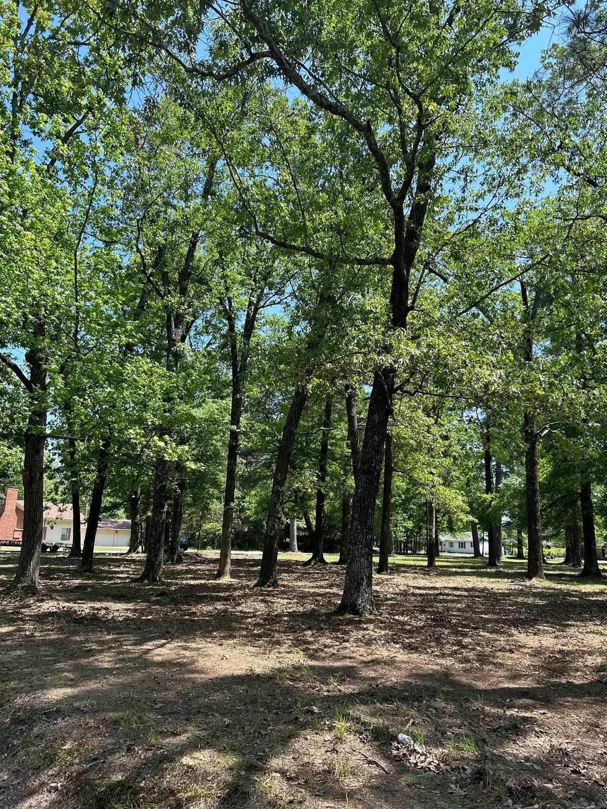 Address Withheld By Seller, Pine Bluff, AR 71603 - Image #1