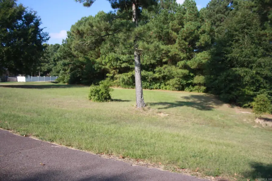 307 Doe Run, Nashville, AR 71852 - Image #2