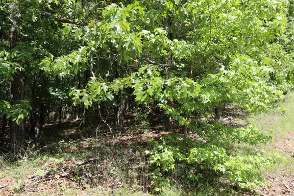 160 Tamoshantor Ct Court, Hot Springs, AR 71913