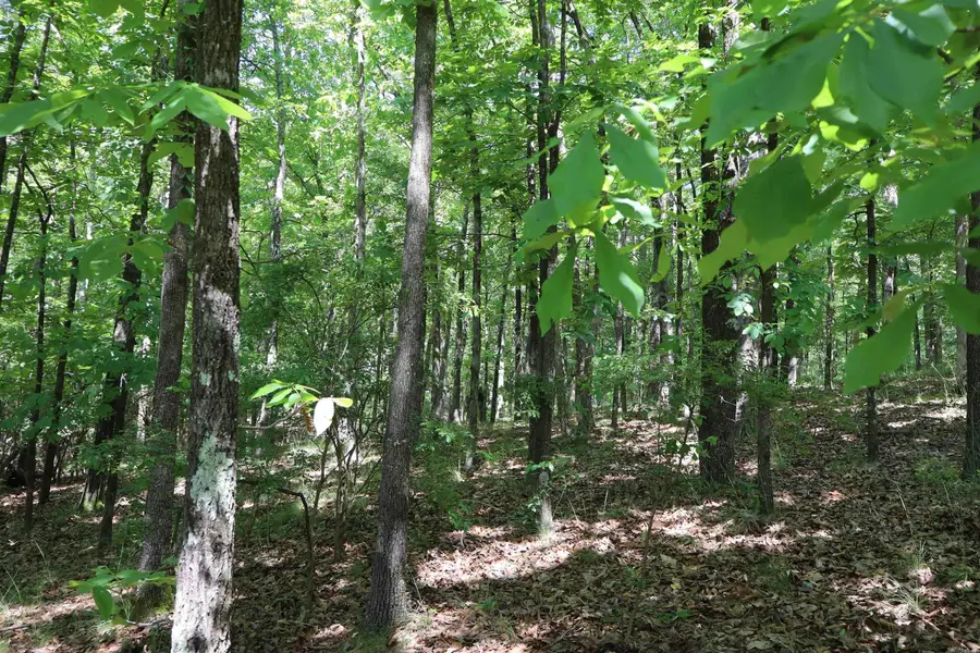 160 Tamoshantor Ct Court, Hot Springs, AR 71913 - Image #2