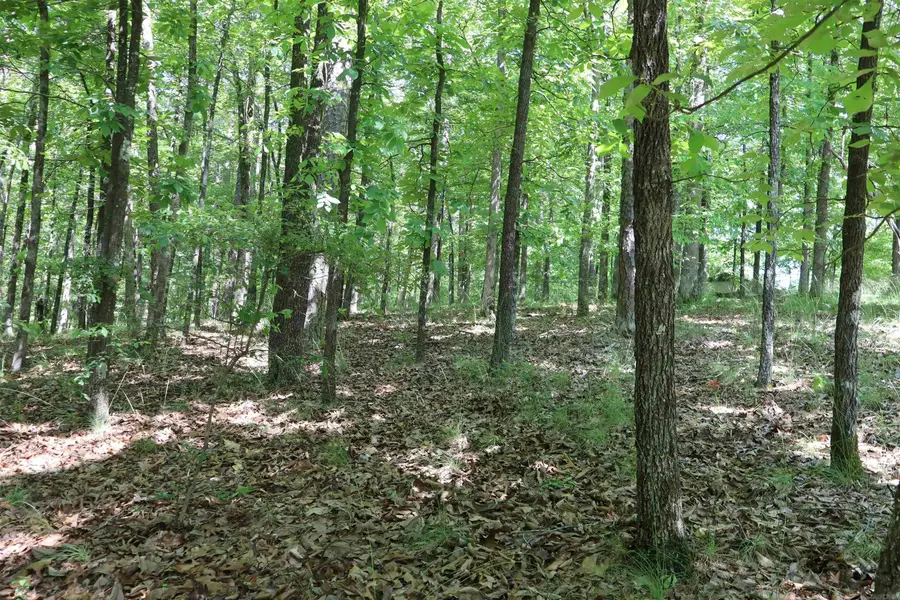 160 Tamoshantor Ct Court, Hot Springs, AR 71913 - Image #3