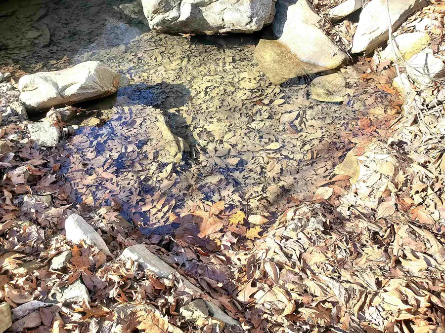 00 Witt Springs, Witts Springs, AR 72650 - #3