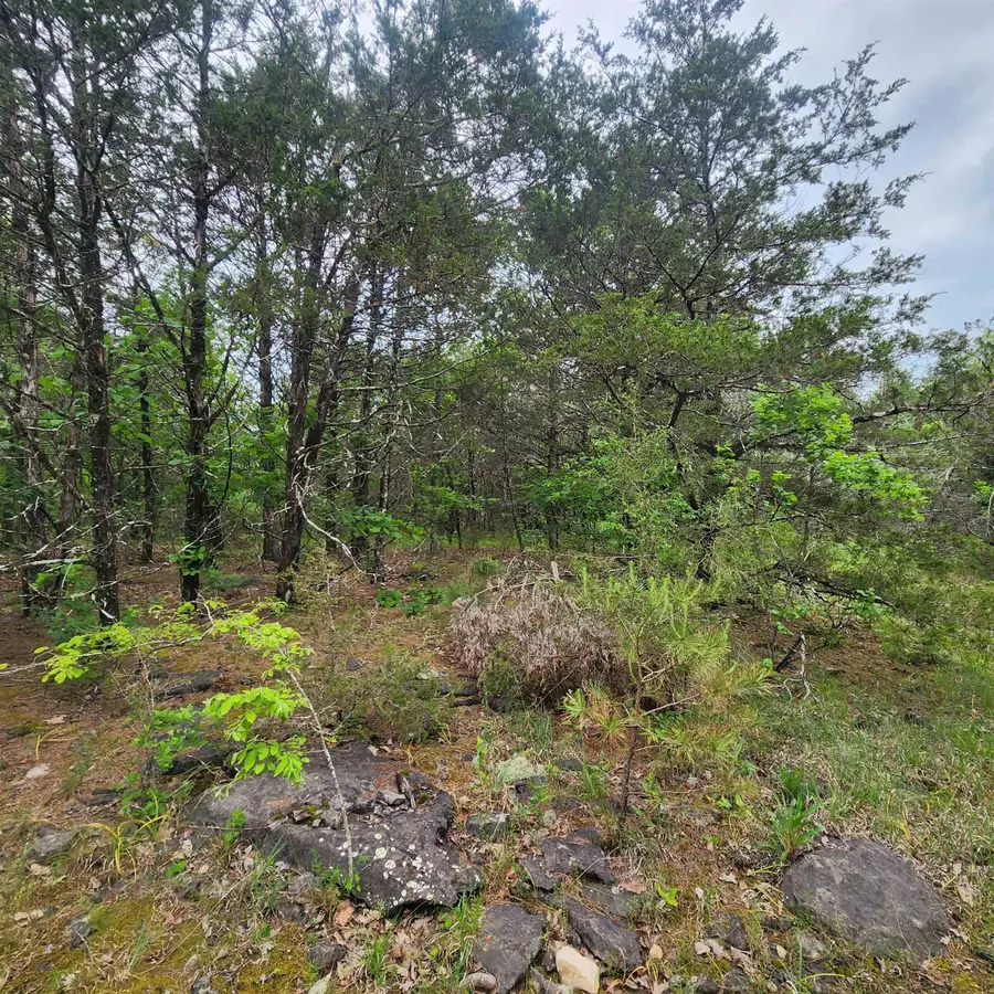 Powells Chapel Road, Evening Shade, AR 72532 - Image #2