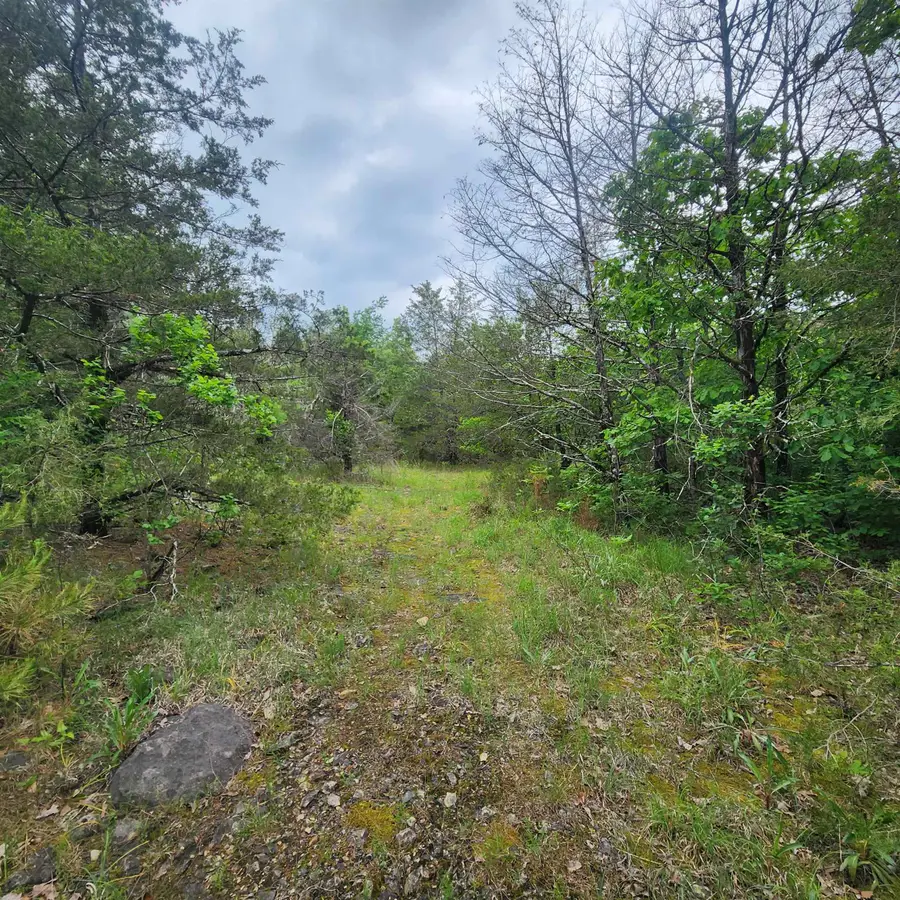 Powells Chapel Road, Evening Shade, AR 72532 - Image #3