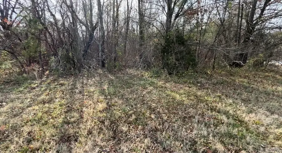 Highway 49, Helena, AR 72342 - Image #2