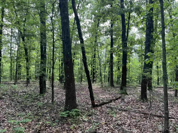 8.72 Acres On Meadow Creek Drive, Harrison, AR 72601