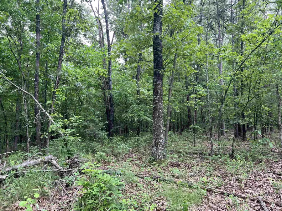 12 Acres On Meadow Creek Drive, Harrison, AR 72601 - Image #3