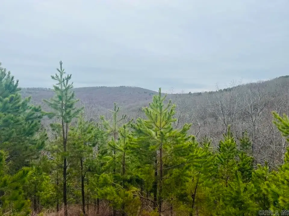 Dodd Mountain Road, Clinton, AR 72031 - Image #1