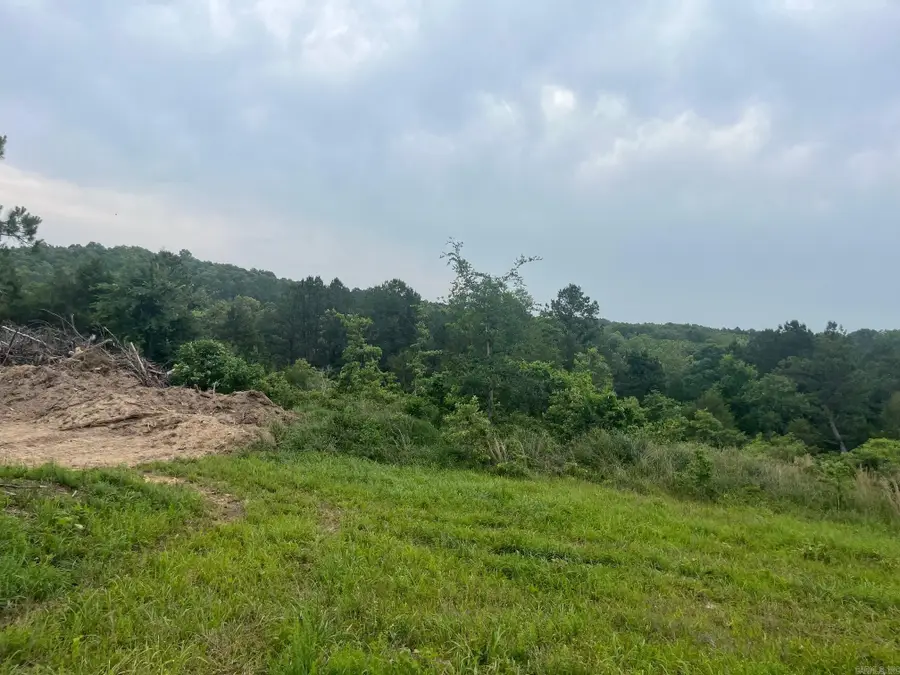 Address Withheld By Seller, Calico Rock, AR 72519 - Image #2