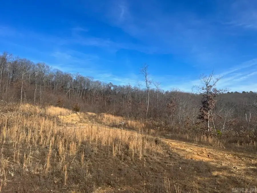 Address Withheld By Seller, Clinton, AR 72031 - Image #2