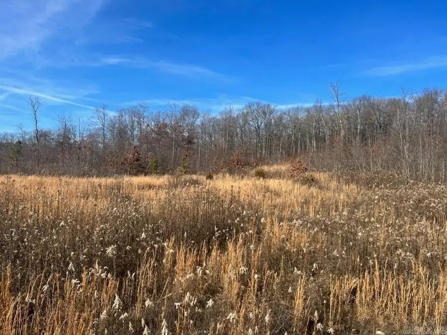 Address Withheld By Seller, Clinton, AR 72031 - Image #3