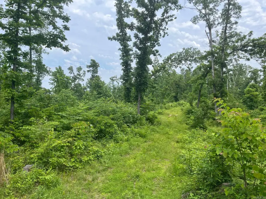 Address Withheld By Seller, Melbourne, AR 72556 - Image #2