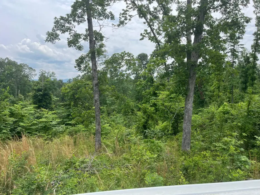 Address Withheld By Seller, Melbourne, AR 72556 - Image #3