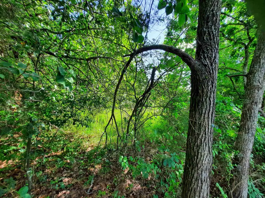 000 Warren Street, Mountain View, AR 72560 - Image #2