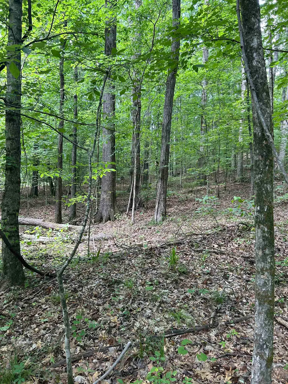 0 Sfc 355, Colt, AR 72326 - Image #1