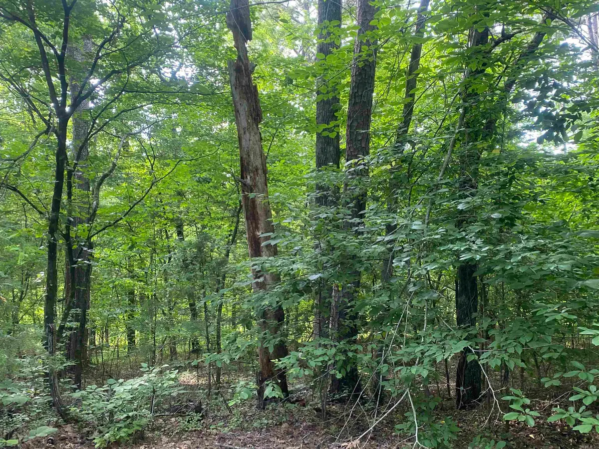 7 Camello Lane, Hot Springs Village, AR 71909 - Image #1